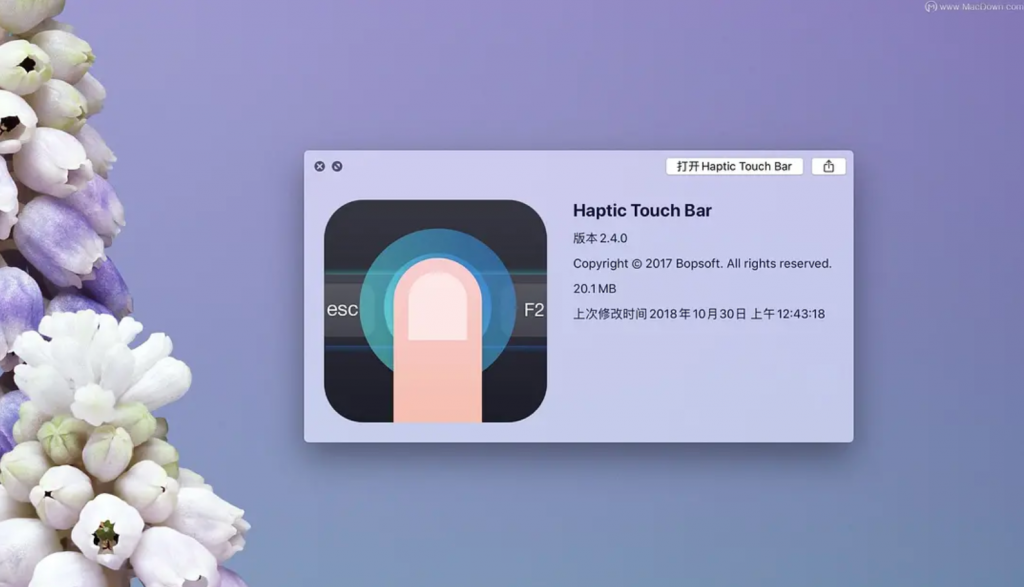 Haptic Touch Bar 2.4.0 MacOS 触觉触控软件