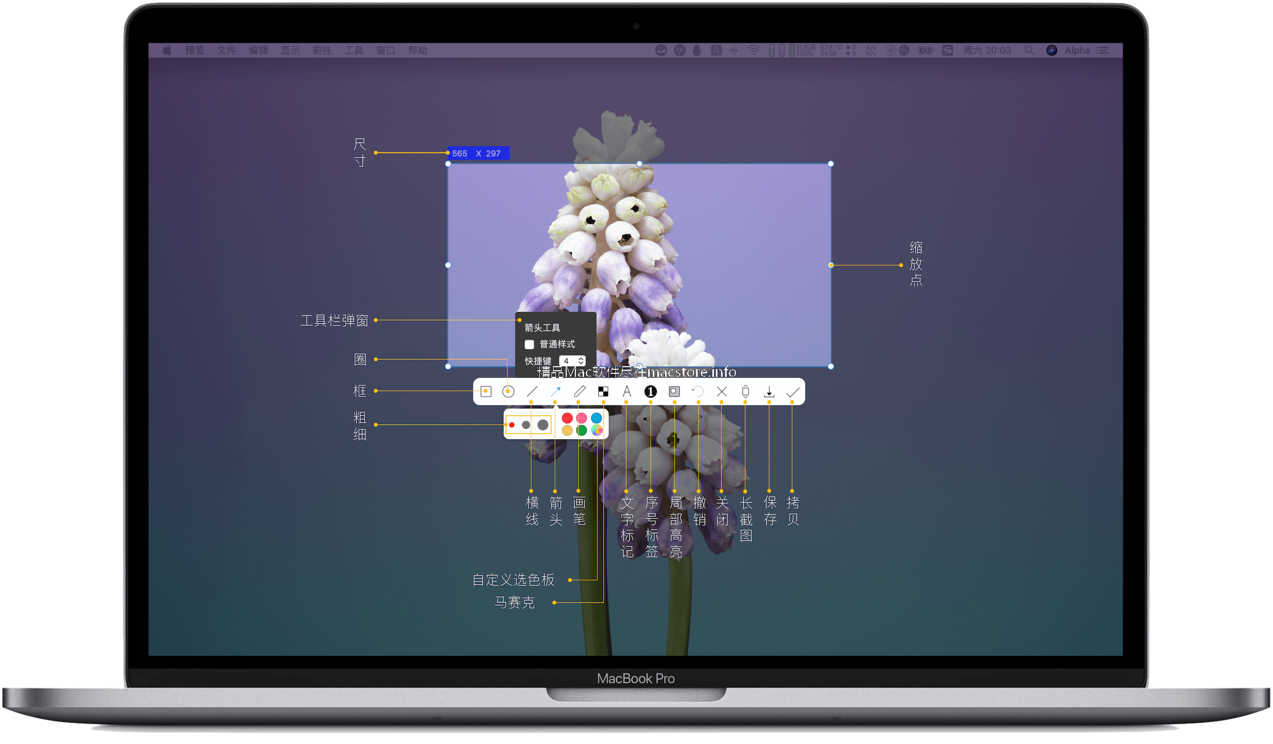 iShot for MacOS 1.7.6 iShot 支持M1